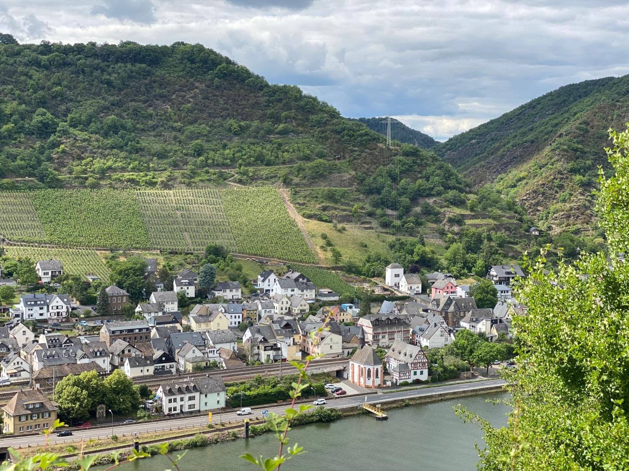 Mike'S Mosel Lodge 特赖斯-卡尔登 外观 照片